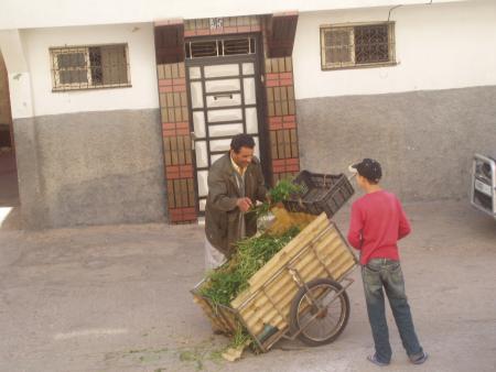 nariiiii   chkounnnnnn